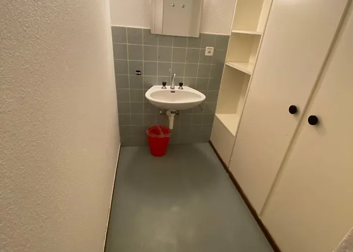 Alpine Clubhouse Hostel *